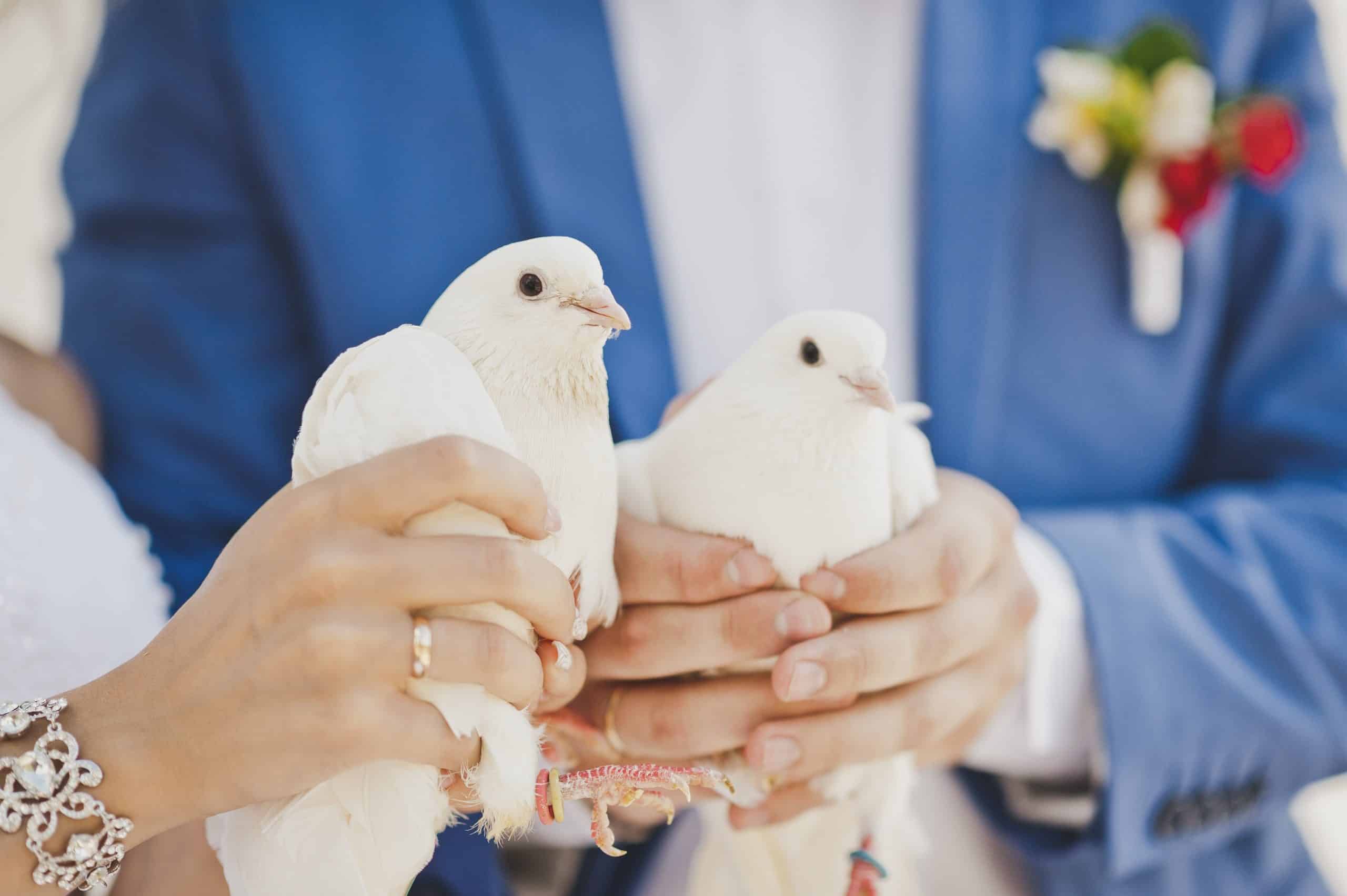 Australia's Leading Marriage Celebrant Organisation